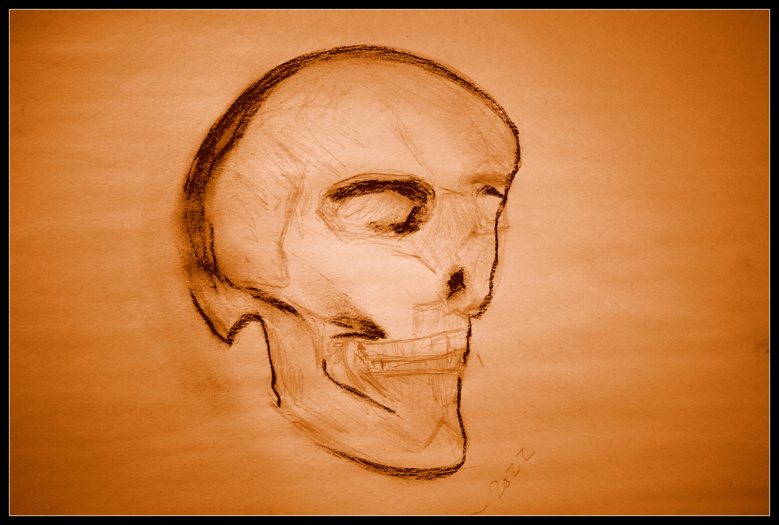 Crâne no.2